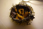 Wrestling with sea urchins - Kitchen Provisions