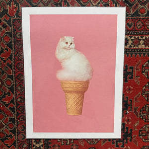 30cm x 40cm prints - MIXTURE