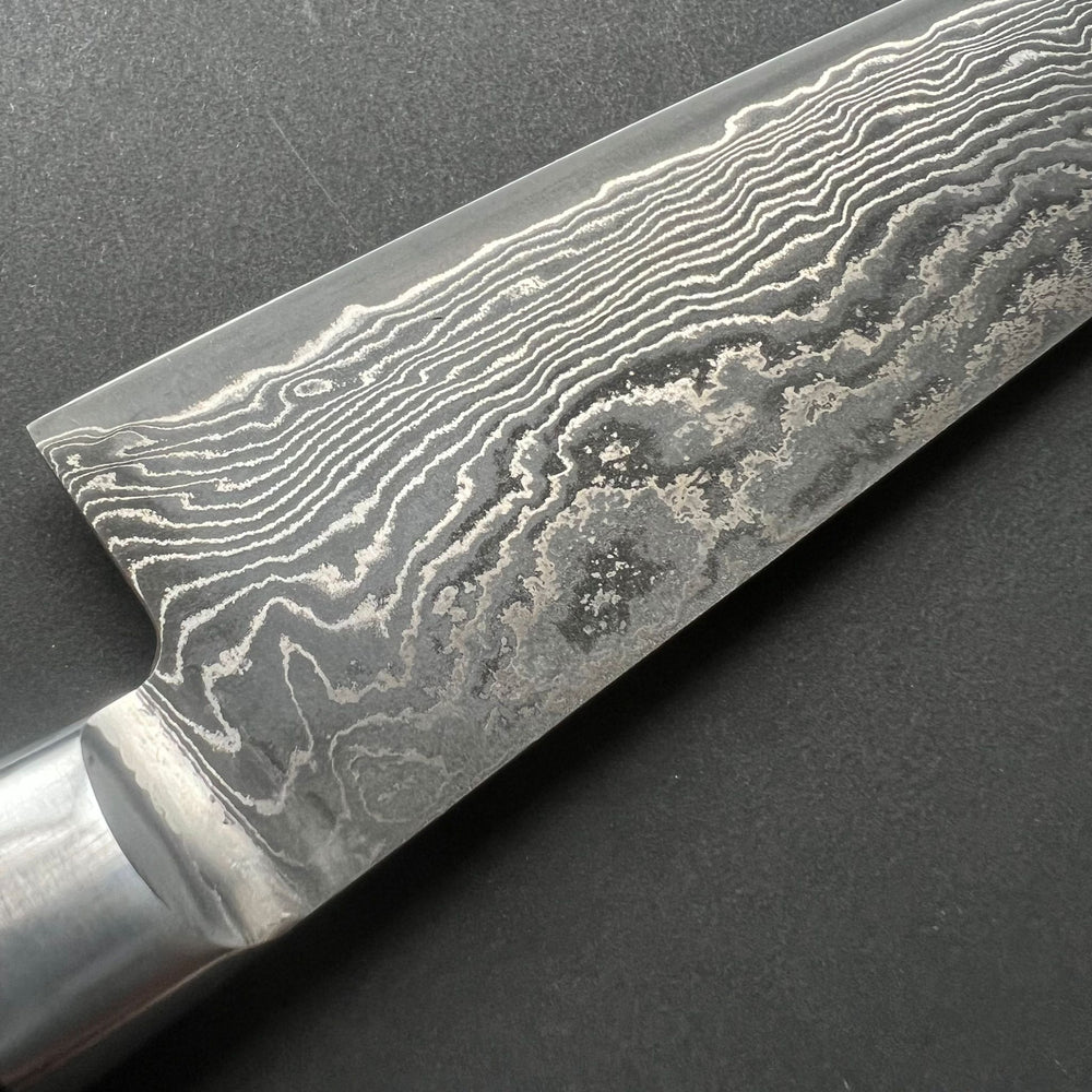 Gyuto knife, SG2 powder steel, Damascus finish, Western style handle - Shigeki Tanaka