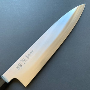 Gyuto knife, ZDP189 powder steel, polished finish - Sukenari