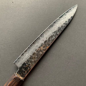 Petty knife, VG10 Stainless Steel, Tsuchime Damascus finish, Hayabusa range - Hatsukokoro