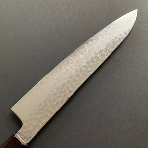 Gyuto knife, VG10 Stainless Steel, Tsuchime Damascus finish, Hayabusa range - Hatsukokoro