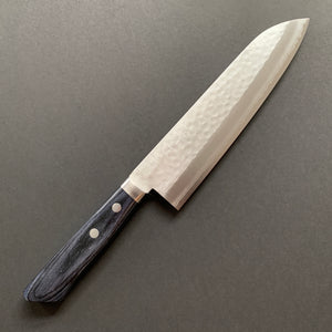 Gyuto knife, VG1 stainless steel, Tsuchime finish, Blue handle - Masutani