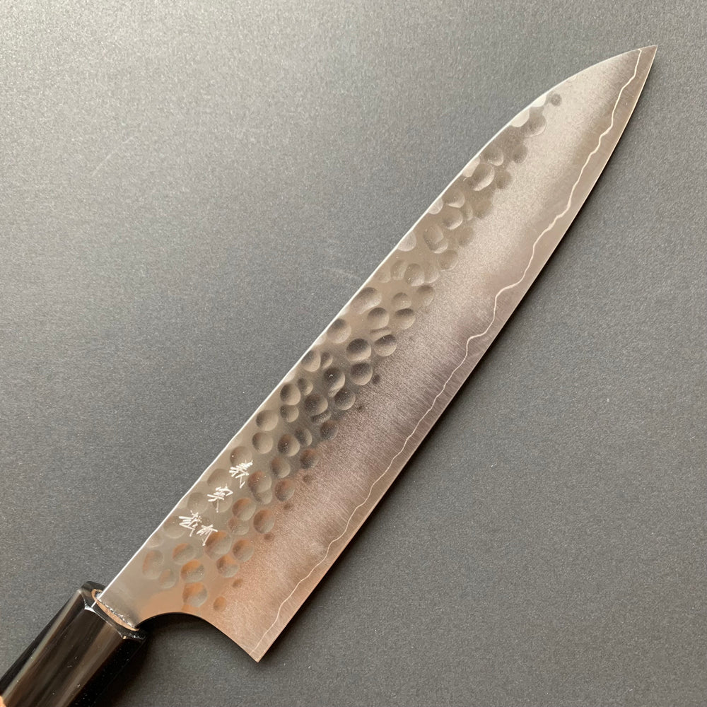 Gyuto Knife, SG2 Powder Steel, Tsuchime finish - Kato