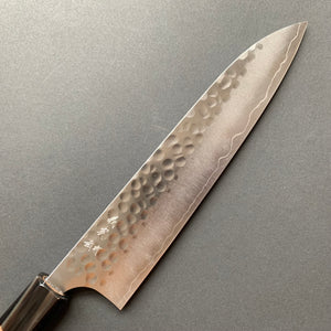 Gyuto Knife, SG2 Powder Steel, Tsuchime finish - Kato