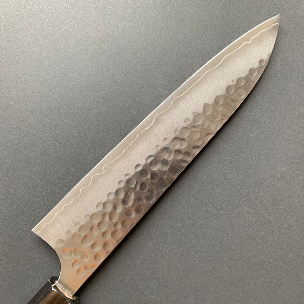 Gyuto Knife, SG2 Powder Steel, Tsuchime finish - Kato