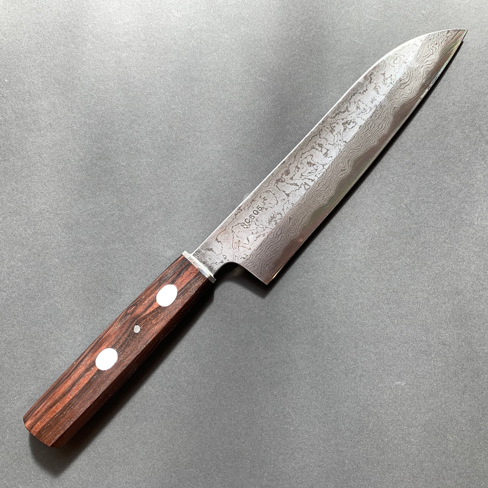 Gyuto knife, Aogami 2 with Iron cladding, Damascus finish - Matsubara