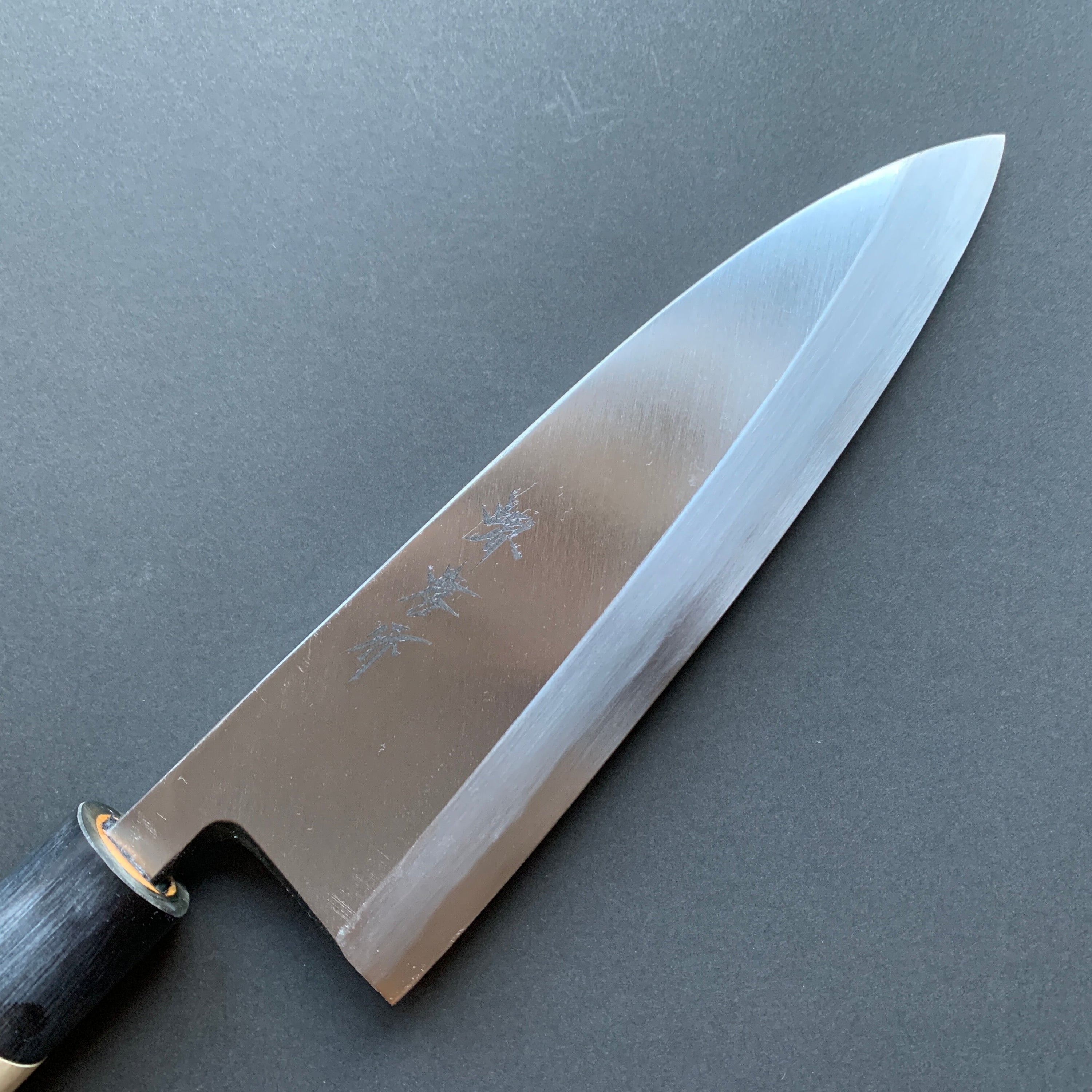 Deba knife, Shirogami 3, polished finish - Sakai Takayuki