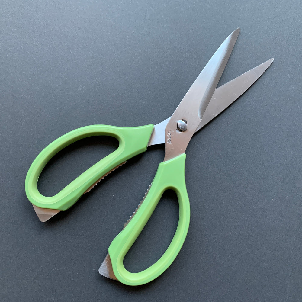 Japanese kitchen scissors - TKG, coloured handles, stainless steel