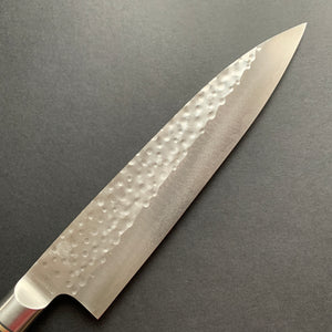 Gyuto knife, SG2 powder steel, Tsuchime finish, Oval handle - Saji