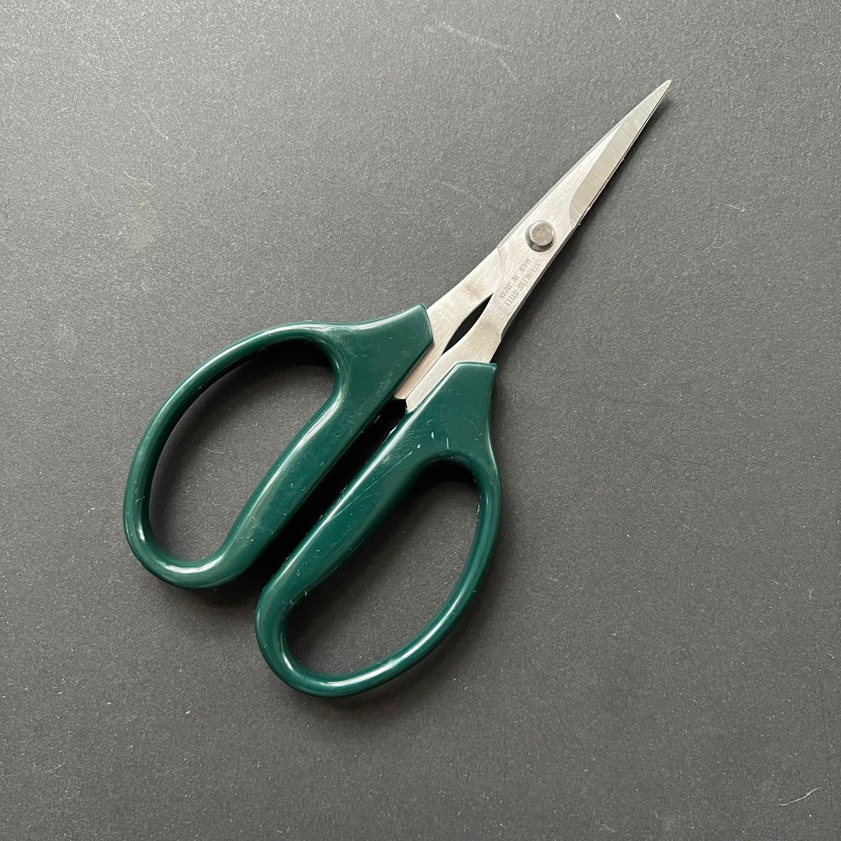 Sea Urchin Kitchen Scissors