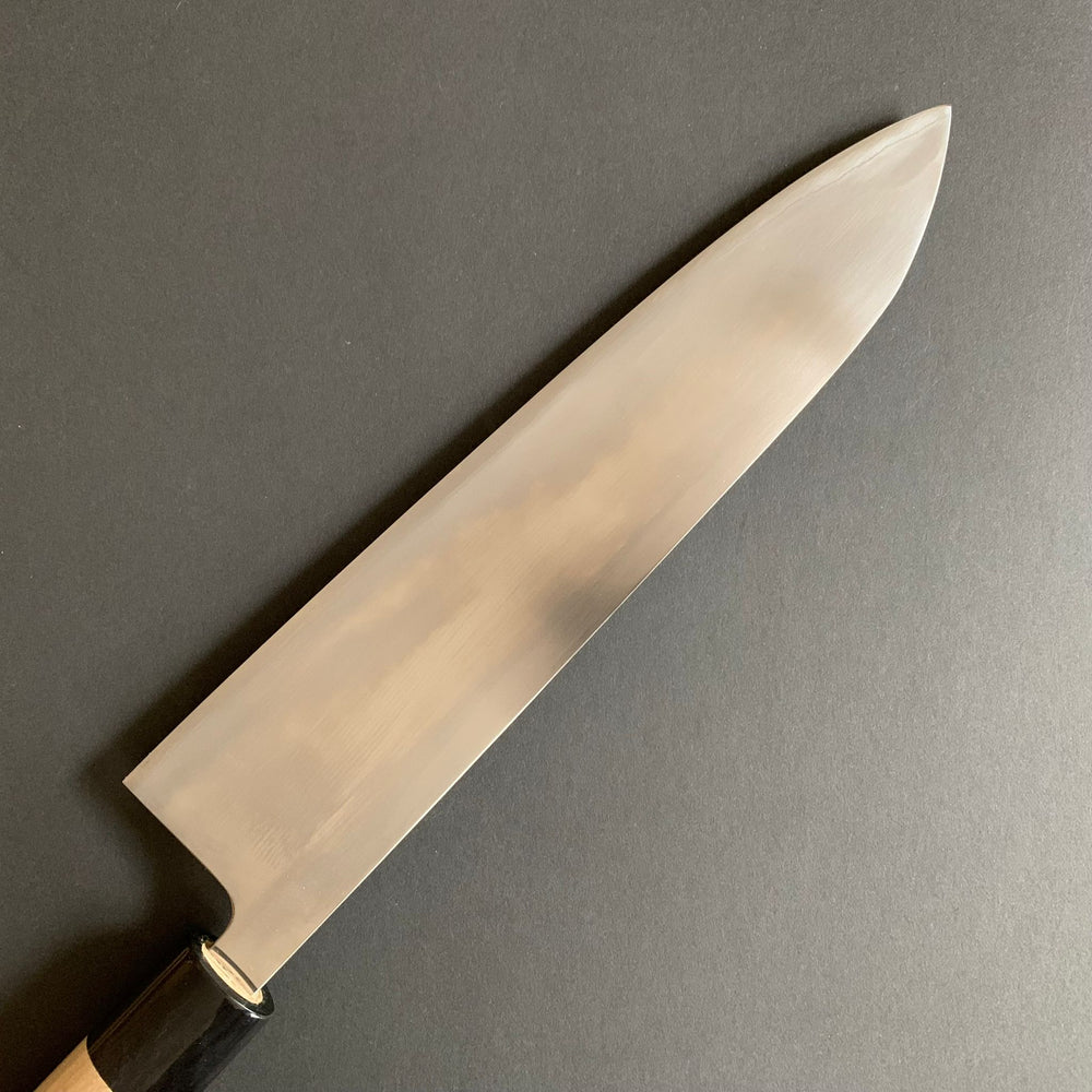 Gyuto knife, Aogami 2 carbon steel with stainless steel cladding, polished finish - Shinichi Watanabe