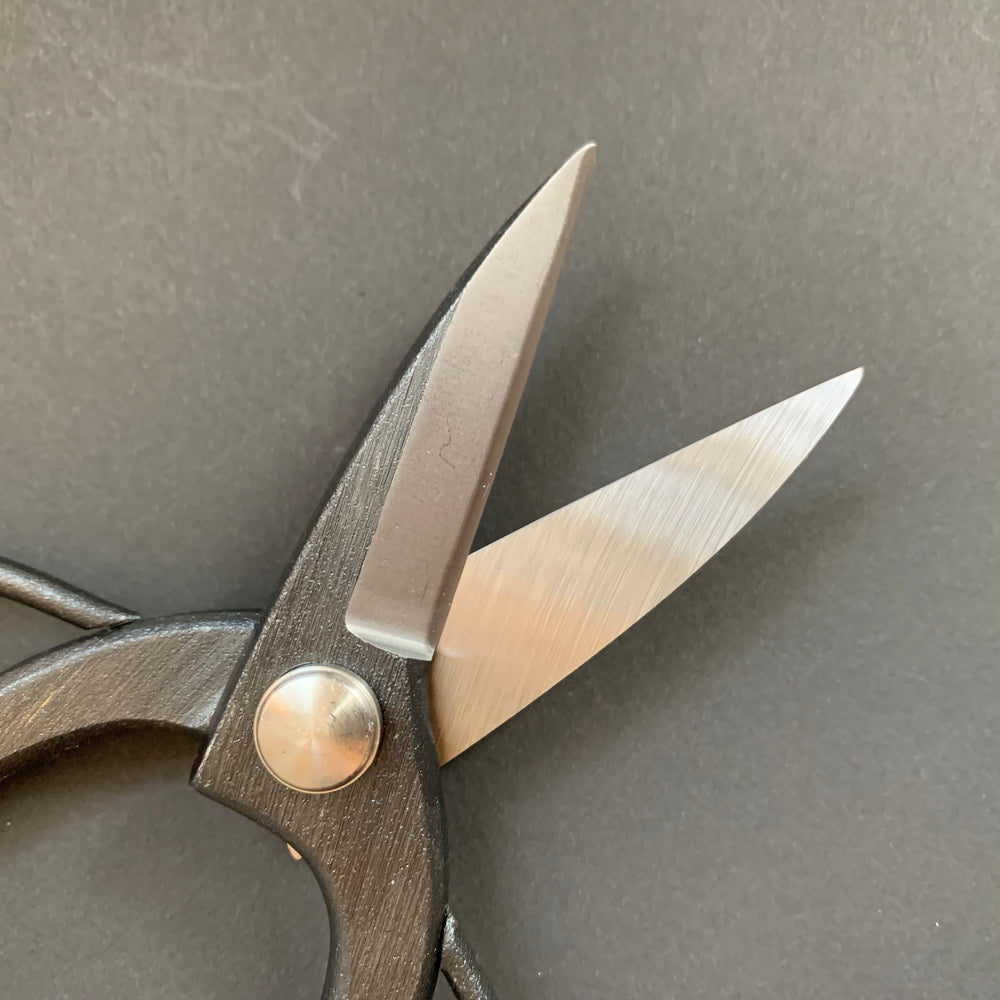 Bonsai Scissors - Kinboshi