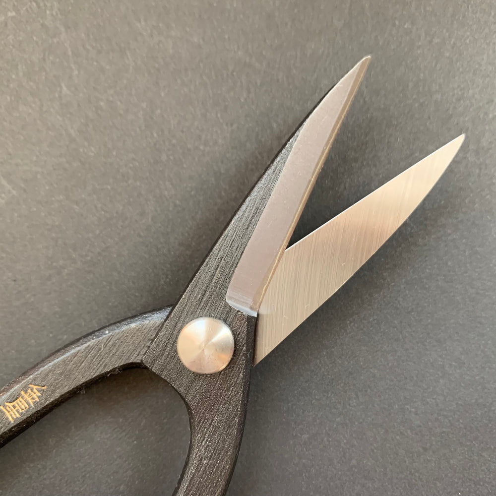 Bonsai Scissors - Kinboshi