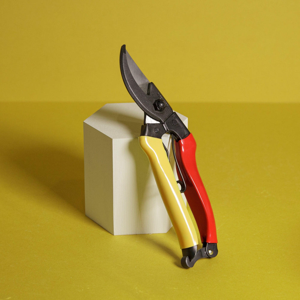 Japanese carbon steel secateurs - Kitchen Provisions