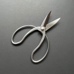 Bonsai Scissors - Kinboshi