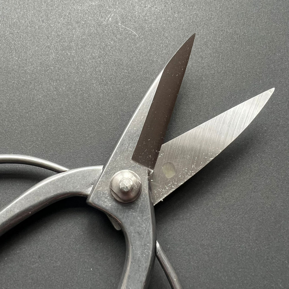 Bonsai Scissors - Kinboshi