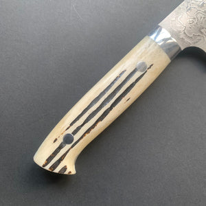 Gyuto knife, SG2 stainless steel, Damascus finish, jigged bone handle - Saji - Kitchen Provisions