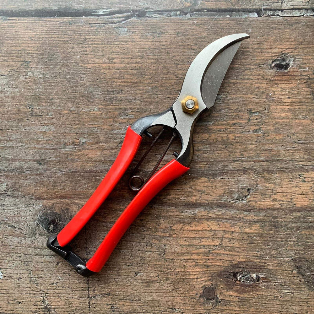 
            
                Load image into Gallery viewer, Kobayashi carbon steel secateurs - Kitchen Provisions
            
        