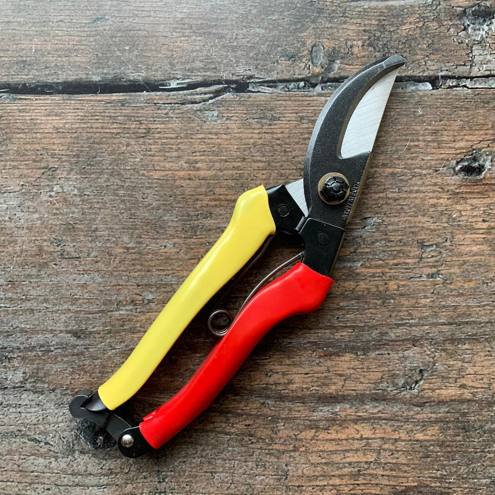 Japanese carbon steel secateurs - Kitchen Provisions